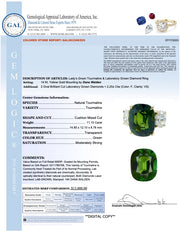 Ava 11 Carat Tourmaline Engagement Ring Appraisal GAL202306355